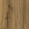��� ������